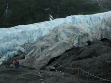 Seward Exit Glacier