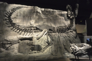 Royal Tyrrell Museum of Palaeontology