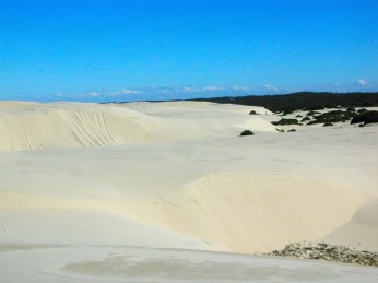 Mount N Beach sand dune safari