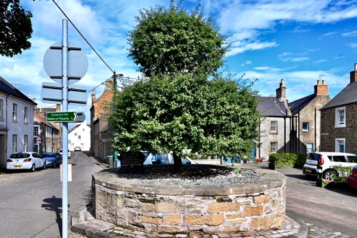 Commemorative tree