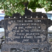 Commemorative tree plaque