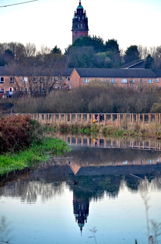 Forth and Clyde Canal reflections