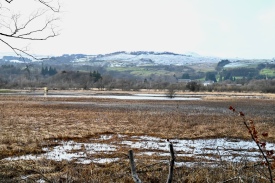 Aird Meadow Loch