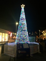 Christmas tree on Vinnicombe Street